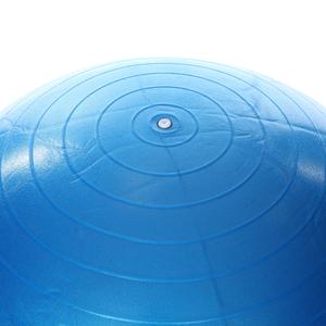 Spt Kadın Mavi 65cm Pilates Topu SPT-2902V-MAV